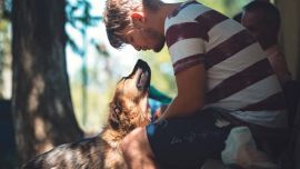 El 21 de julio se celebra la jornada dedicada a honrar y apreciar a los fieles compañeros. Qué regalos y actividades se pueden ofrecer.