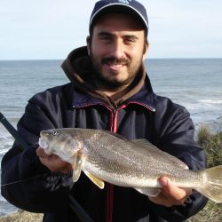  En Mar del Plata, en la zona de La Perla, se logran buenas pescadillas. 