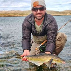 En Puerto Madryn la especie más requerida es el róbalo patagónico, se lo pesca con carnada natural o con mosca.