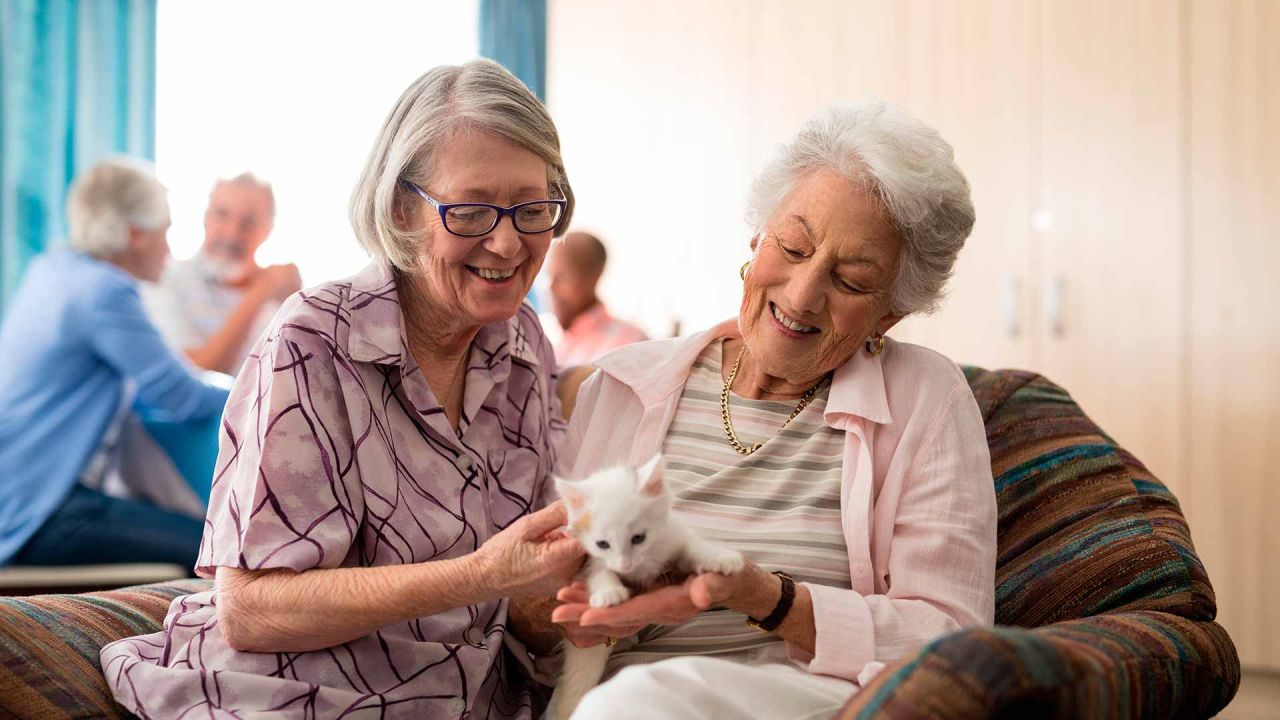Las mascotas podrían vivir con sus dueños en geriátricos. | Foto:Shutterstock