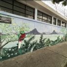 Artista Guadalupe Santa Cruz