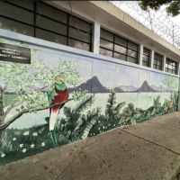 Artista Guadalupe Santa Cruz
