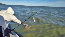 Había expectativa para el fin de semana, ya que se esperan de 20 a 23°C, pero las lluvias complicarían el acceso.