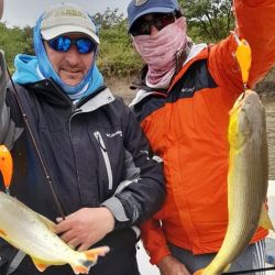 Dorados en cantidad y calidad, sumándose surubíes que no faltan a la cita en un destino tradicional para esta especie.