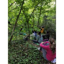 Baño de Bosque:  la técnica japonesa llega a Argentina para asentarse definitivamente | Foto:CEDOC