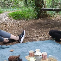 Baño de Bosque:  la técnica japonesa llega a Argentina para asentarse definitivamente | Foto:CEDOC