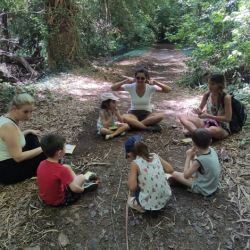 Baño de Bosque:  la técnica japonesa llega a Argentina para asentarse definitivamente | Foto:CEDOC