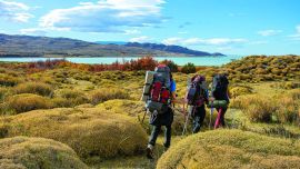 El paisaje cambia a cada paso. La vegetación característica de esta región patagónica nos recordaba que estábamos en otoño.