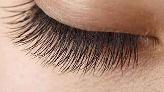 Descubre 15 datos sobre las pestañas que transformarán el cuidado de ellas