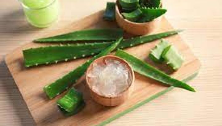 Aloe Vera, la planta de la longevidad: estimula el colágeno y rejuvenece la piel