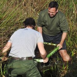 El hallazgo se realizó en la Reserva Natural de la Defensa Puerto Península, en Misiones. (Fotos: Ministerio de Ambiente y Desarrollo Sostenible).
