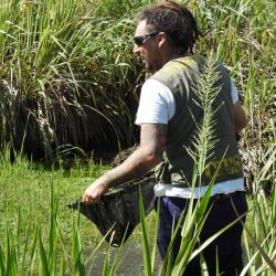 El hallazgo se realizó en la Reserva Natural de la Defensa Puerto Península, en Misiones. (Fotos: Ministerio de Ambiente y Desarrollo Sostenible).