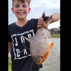 Una simple pesca se convirtió en una emocionante aventura para un niño de once años.