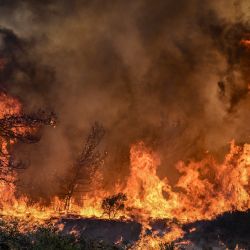 Los incendios forestales queman los bosques cerca del pueblo de Vati, justo al norte de la ciudad costera de Gennadi, en la parte sur de la isla griega de Rodas. Unas 30.000 personas huyeron de las llamas en Rodas durante el fin de semana, la evacuación por incendios forestales más grande de la historia del país, ya que el primer ministro griego advirtió que la nación azotada por el calor estaba "en guerra" con varios incendios forestales y habló de tres días difíciles por delante. | Foto:Spyros Bakalis / AFP