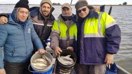 El clima afecta a los distintos pesqueros que no rinden bien, salvo escasas excepciones.