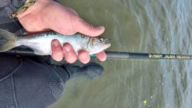 Histórica laguna cercana a CABA que siempre es alternativa de pesca. A pesar de la bajante, los pejerreyes pican.