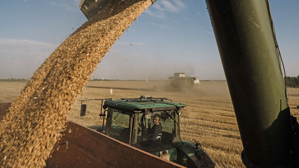 Ukrainian Wheat Harvest as Russia Threatens Global Food Supplies