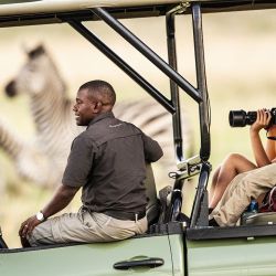 Namibia, Ruanda y Zimbabwe ofrecen un abanico de encuentros con la fauna africana que convierten cualquier viaje en un recuerdo inolvidable.