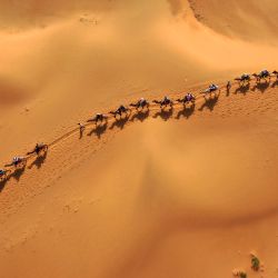 Vista aérea de visitantes montando camellos en el punto escénico de Shapotou, en el noroeste de China. El punto escénico de Shapotou, ha entrado en su temporada alta de turismo durante las vacaciones de verano, con el mayor flujo diario de visitantes llegando a más de 10.000. | Foto:Xinhua/Wang Peng