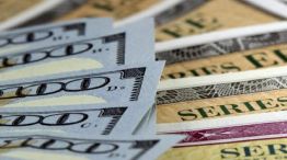 Dólar, bonos y plazos fijos: las mejores alternativas para resguardar tu dinero durante las elecciones
