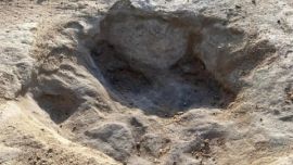 Algunas de las huellas se encontraban hundidas en el barro.