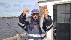 Aunque en cantidad no está saliendo el pejerrey, los resultados en calidad son muy buenos.