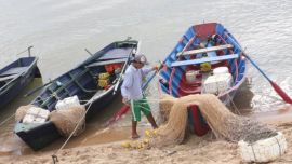 Los especialistas calcularon las tasas de crecimiento poblacional de 27 especies en el tramo medio y alto del río Paraná.