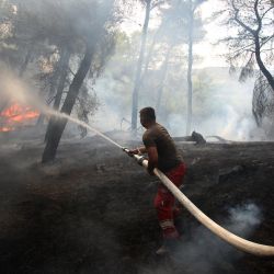 Un bombero trabaja para extinguir un incendio forestal en el pinar del pueblo de Kraps, cerca de la ciudad de Fier, Albania. Desde hace varios días, las altas temperaturas y el viento han permitido que varios incendios se propaguen, dañando los olivares. y el bosque de pinos en Peshtan. | Foto:Adnan Beci / AFP