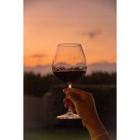 Bodega Finca Don Carlos
