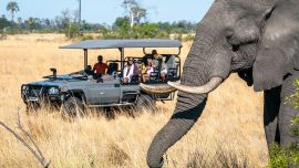 Con tiendas en la selva o en la estepa africanas, Wilderness Destinations brinda cercanía con la fauna sin invadir y sin afectar su circuito natural.