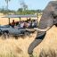 0727_africa