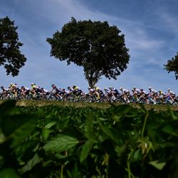 El grupo de ciclistas pedalea durante la 18.ª etapa de la 110.ª edición del Tour de Francia, 184 km entre Moutiers y Bourg-en-Bresse, en los Alpes franceses. | Foto:MARCO BERTORELLO / AFP