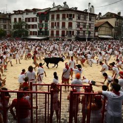 La gente participa en carreras de vacas durante el 91º festival de Bayona en Bayona, suroeste de Francia. | Foto:GAIZKA IROZ / AFP