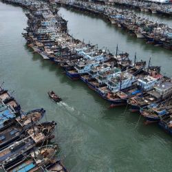 Los barcos de pesca están amarrados en un puerto en la localidad de Gaoqi de la ciudad de Xiamen en China en preparación para la llegada del tifón Doksuri. | Foto:AFP