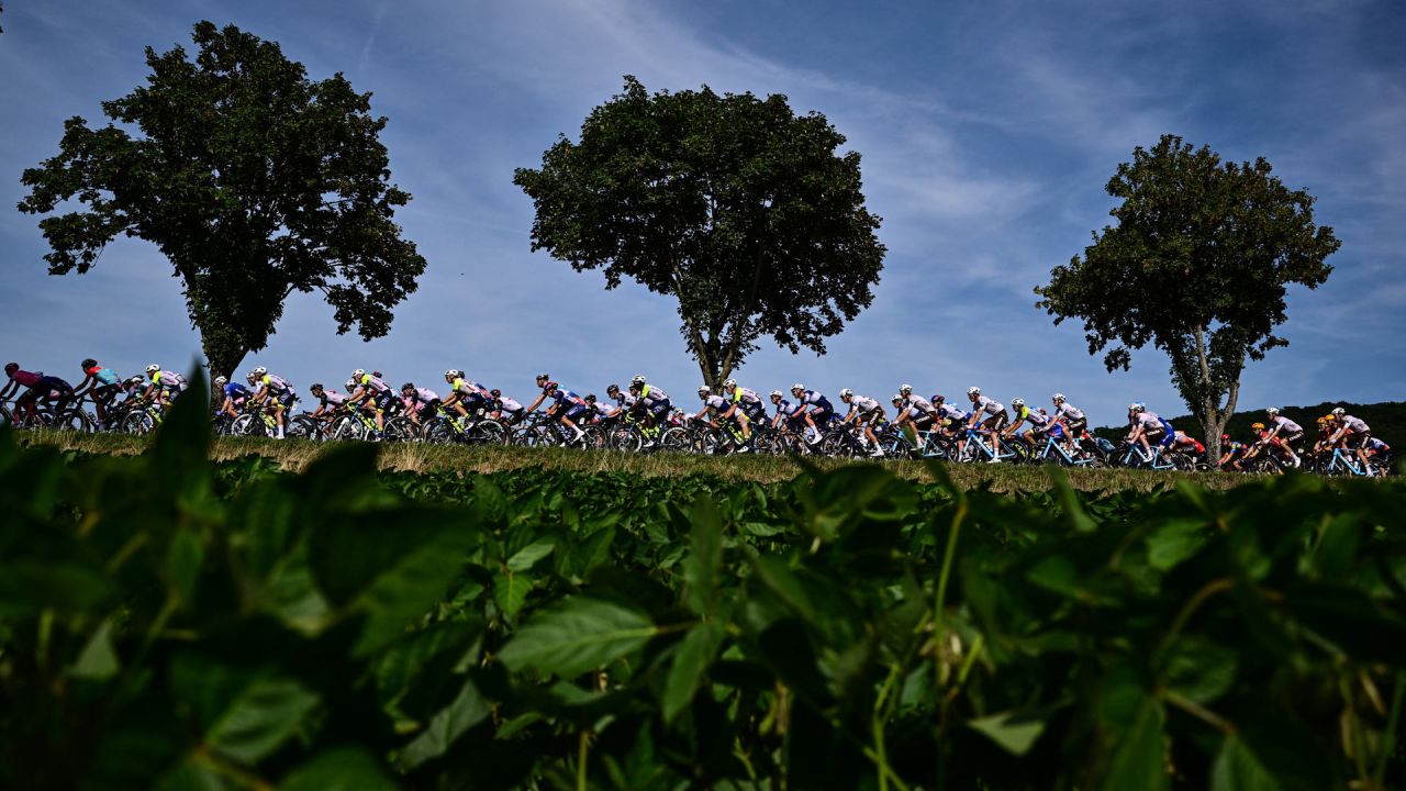 El grupo de ciclistas pedalea durante la 18.ª etapa de la 110.ª edición del Tour de Francia, 184 km entre Moutiers y Bourg-en-Bresse, en los Alpes franceses. | Foto:MARCO BERTORELLO / AFP