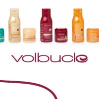 Volbucle