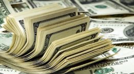 “Los dólares van a volver a subir otra vez pese a que se disiparon algunas dudas”, según un experto