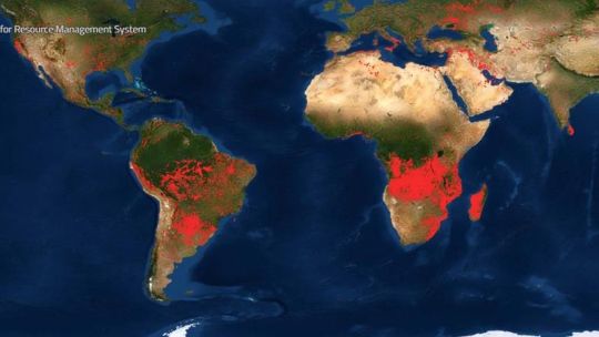 ¿De qué se trata el programa ideado por la NASA para rastrear incendios forestales a nivel global?