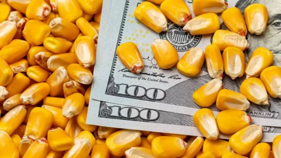 Desde que se implementó la medida del dólar maíz, el precio de la tonelada ya subió un 25%.