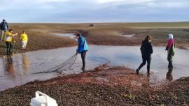 Los biólogos tomaron las muestras en distintas 'pozas' del balneario Punta Verde, en la ría de S.A.O.- Foto: Portal Río Negro