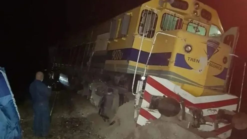 Un toro en las vías provocó el descarrilamiento del Tren Patagónico.