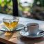 Té o café: cuál es el más saludable