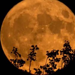 Es la primera de las dos lunas llenas que tendrán lugar a lo largo del presente mes de agosto.