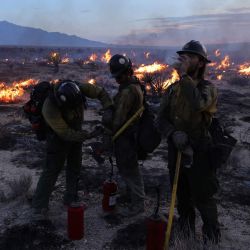 Los Crane Valley Hotshots prenden un fuego de retroceso mientras arde el York Fire en la Reserva Nacional de Mojave. El incendio de York ha quemado más de 70.000 hectáreas, incluidos árboles de Josué y yucas en la Reserva Nacional de Mojave, y ha cruzado la frontera entre California y Nevada. | Foto:DAVID SWANSON / AFP