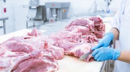 Recomposición de precios en la carne: ¿Se apróxima un aumento considerable para los consumidores?