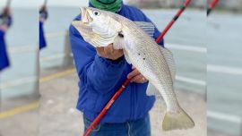 Detalles para ir planeando un viaje a un evento que suele ser convocante y con una especie muy accesible para todos.