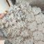 0108_gliptodonte