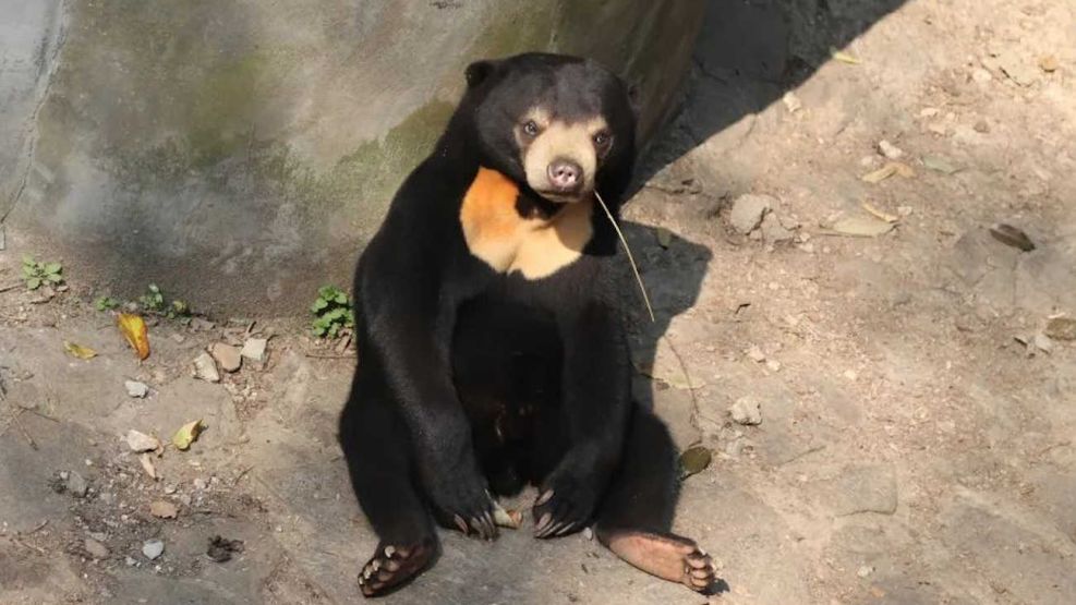 Un zoológico chino desmiente 20230801