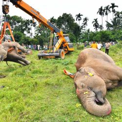 Funcionarios utilizan una grúa para desplazar un elefante durante los preparativos del entierro de tres elefantes, una madre y dos crías, que murieron electrocutados en la aldea Kamalpara de la zona de Rani, India. | Foto:BIJU BORO / AFP
