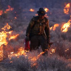 Los Crane Valley Hotshots prenden una hoguera mientras arde el incendio York en la Reserva Nacional de Mojave. El incendio de York ha quemado más de 70.000 hectáreas, incluidos árboles de Josué y yucas en la Reserva Nacional de Mojave, y ha cruzado la frontera entre California y Nevada. | Foto:DAVID SWANSON / AFP
